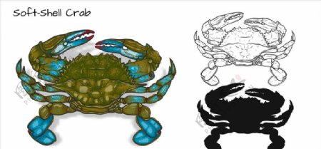 螃蟹插画