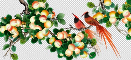 桃子树小鸟工笔素材