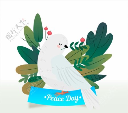 彩绘国际和平白鸽和树叶