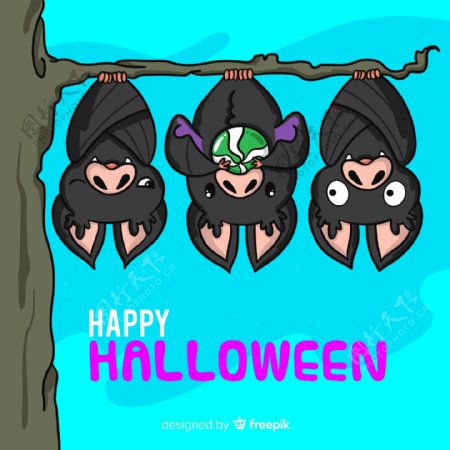 卡通万圣节倒挂的3个蝙蝠