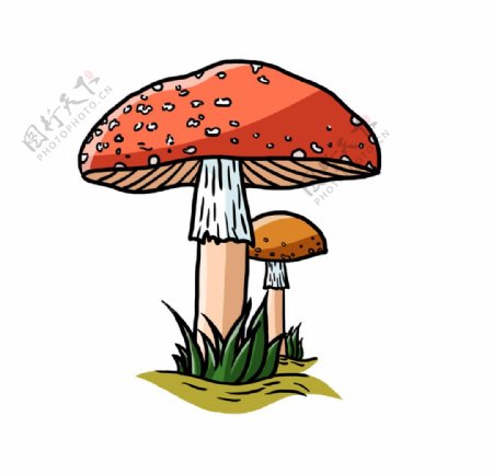 手绘红色小蘑菇