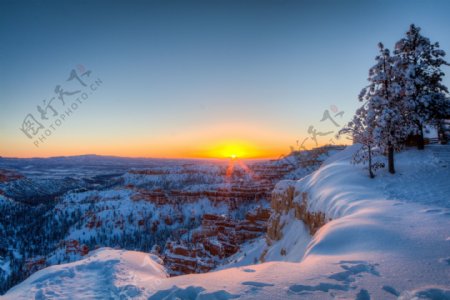 冬天大雪夕阳松树风景