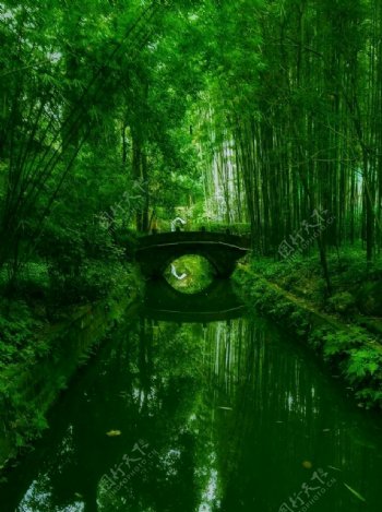 竹子大树小拱桥绿色清新