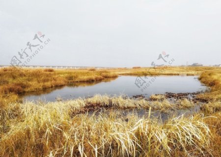 府河湿地风景