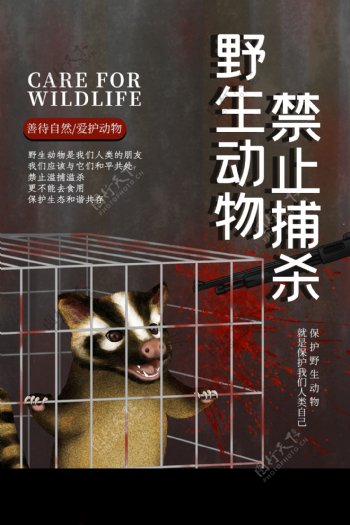 禁止捕杀野生动物