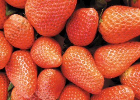 草莓红色水果食品甜新