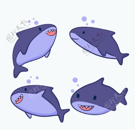 手绘矢量鲨鱼