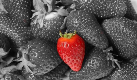 草莓蓝莓水果