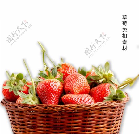 草莓免扣素材