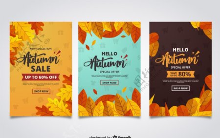 3款彩色秋季树叶促销卡片
