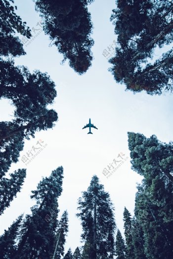 森林飞机