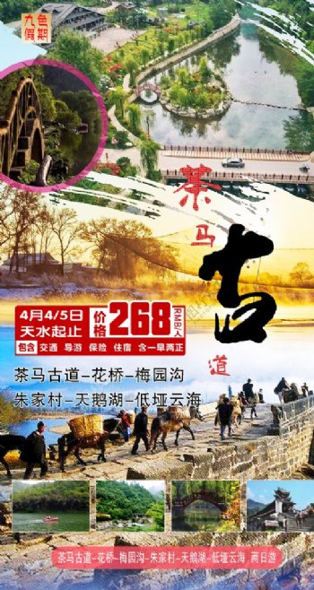 茶马古道花桥村梅园沟旅游海报