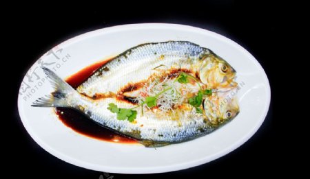 香糟鲥鱼长江鲥鱼酒糟鲥鱼