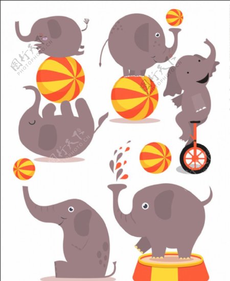 6款卡通大象设计矢量素材