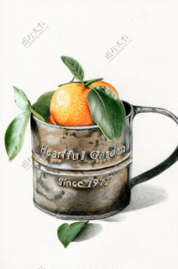 杯子里的橘子绘画