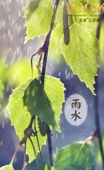 微商雨水节气