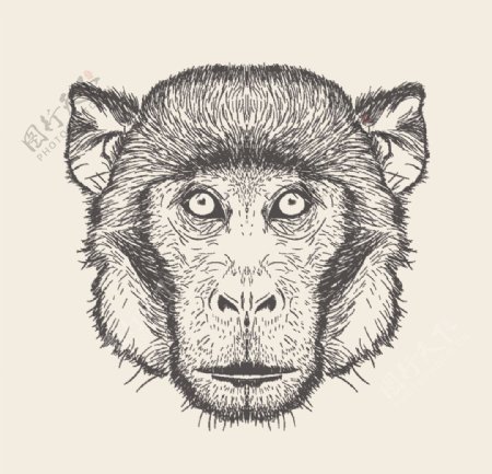 动物铅笔画