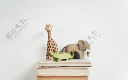 书动物玩具积木