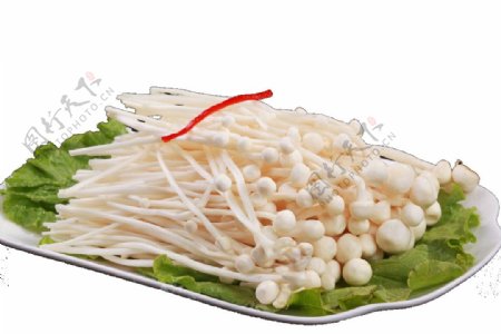 火锅配菜金针菇