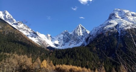 雪峰