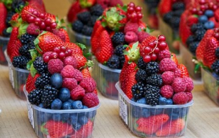 蓝莓草莓桑葚树莓