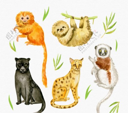 5款可爱水彩绘动物矢量素材