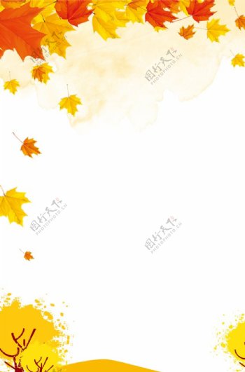 秋季金黄色背景