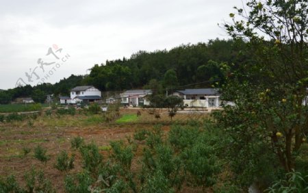 山村村庄民居风景早晨