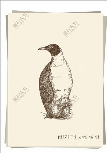 企鹅素描画