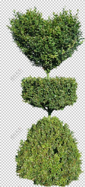 绿色树木植物素材