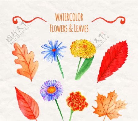 水彩绘鲜艳花卉和叶子矢量图