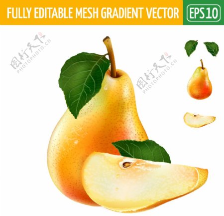 梨子pear
