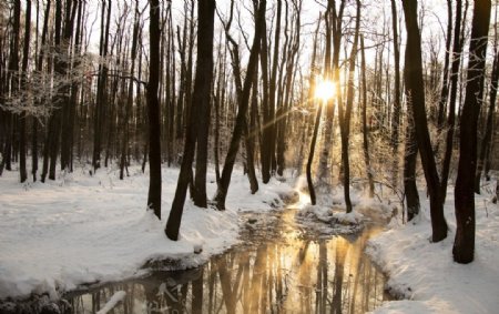 树林河流雪地