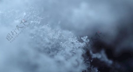 下雪结冰特写实拍