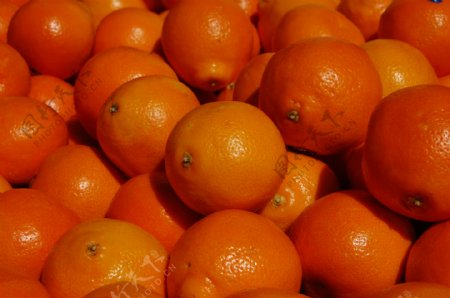 橘子橙色水果柑橘