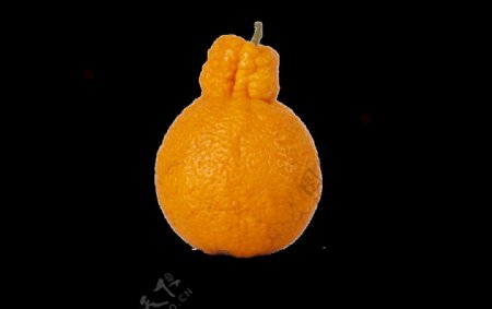 橘子免抠图