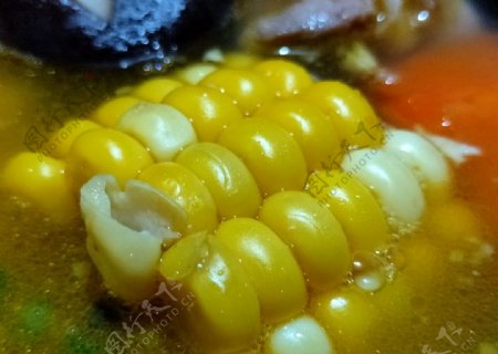 排骨玉米汤汤