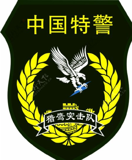 中国武警解放军特警臂章标识