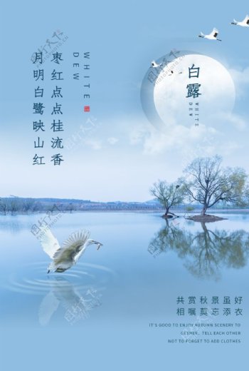白露传统节日促销活动宣传海报