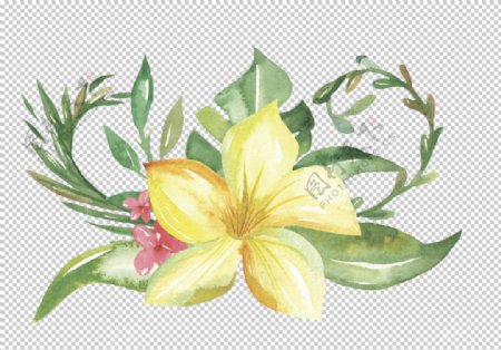水彩植物花朵图案
