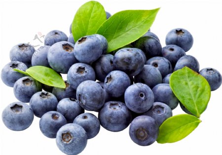 蓝莓高质量免扣图