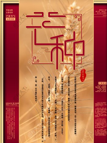 中国风中国红芒种海报