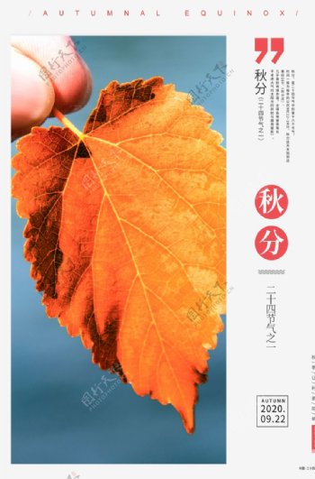 秋分树叶橙红色简约海报