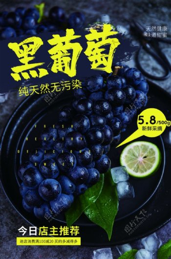 黑葡萄水果活动宣传海报素材
