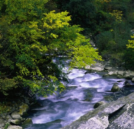 自然风景