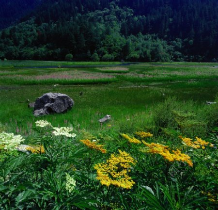 自然风景