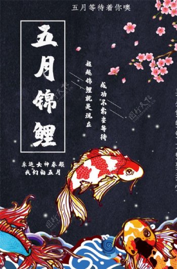 锦鲤海报图片