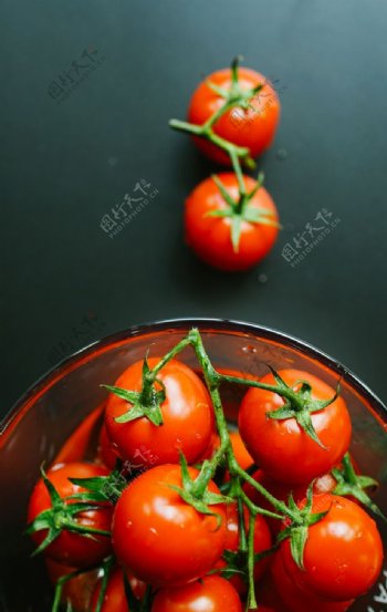 西红柿番茄水果圣女果背景素材