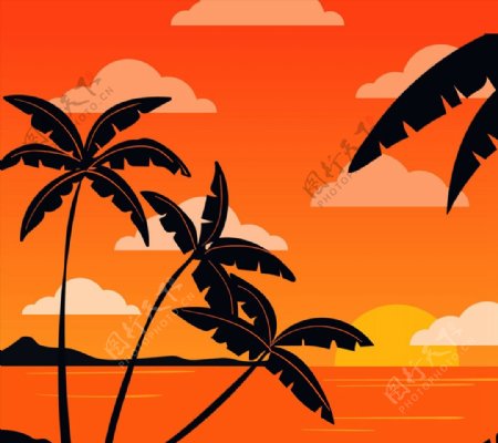 夕阳下的椰子树剪影图片