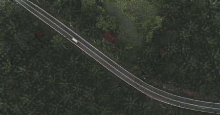 公路道路高速森林背景素材图片